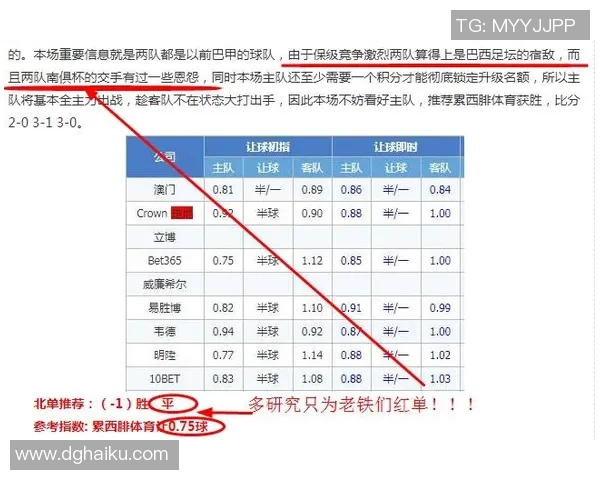 英冠焦点战布伦特对决赫尔城争夺积分榜关键位置